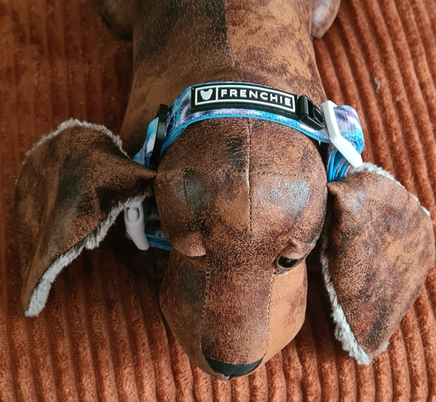 Frenchie Bulldog Dog Collar Blue Tie Dye 2cm wide neoprene lining