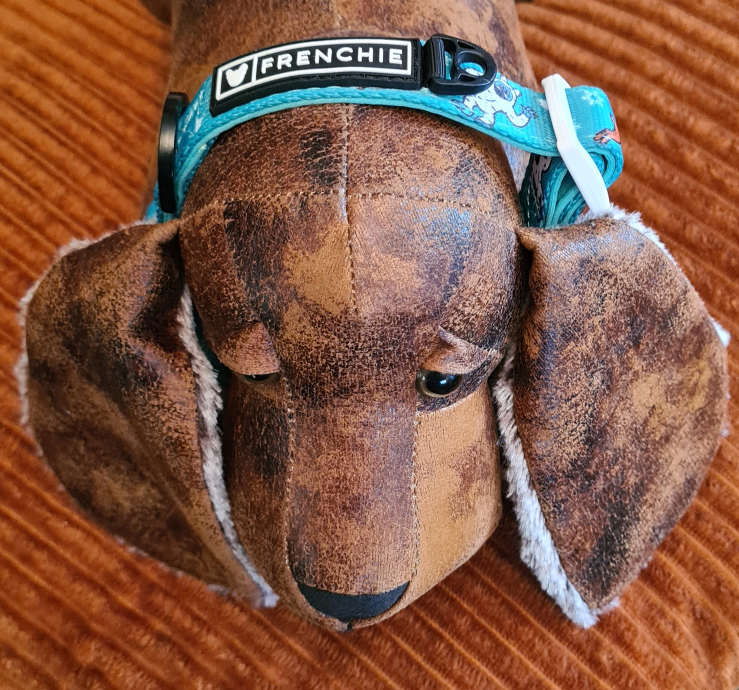 Frenchie Bulldog Dog Collar Abominable Snowman 2cm wide neoprene lining