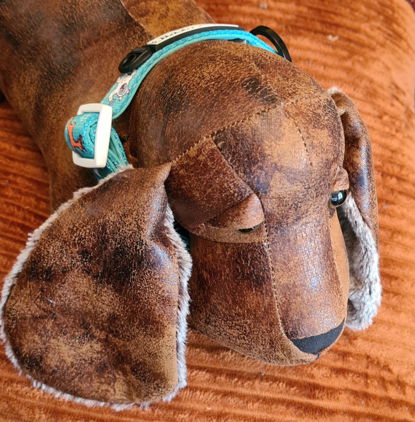 Frenchie Bulldog Dog Collar Abominable Snowman 2cm wide neoprene lining