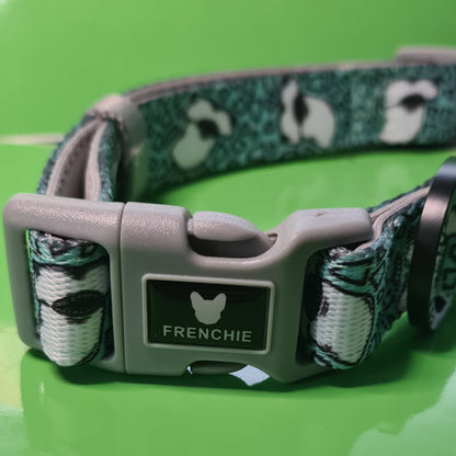 Frenchie Bulldog Dog Collar Shark Bait 2cm wide neoprene lining