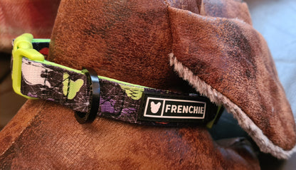 Frenchie Bulldog Dog Collar Halloween 2cm wide neoprene lining