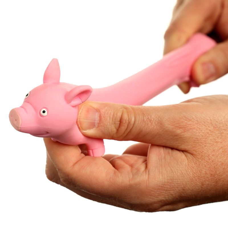 Stretchy Fidget Toy - Pig